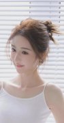 高铁动车组列车客票订价不正在该目次之